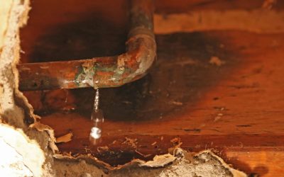 Catch the Leak Before It Catches You with Professional Leak Detection
