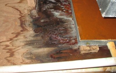 Shield Your Foundation with Water Damage Restoration in Mokena, IL