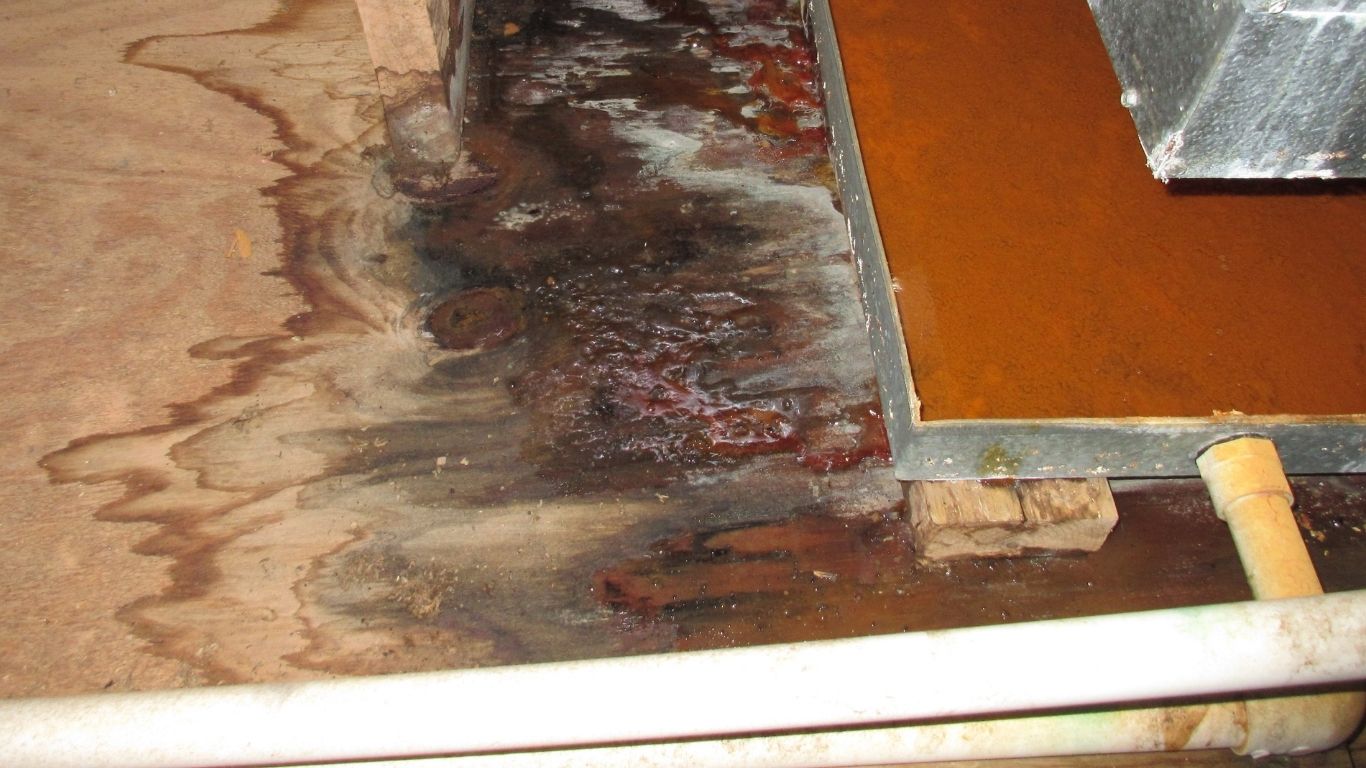 Shield Your Foundation with Water Damage Restoration in Mokena, IL water damage restoration in Mokena, IL