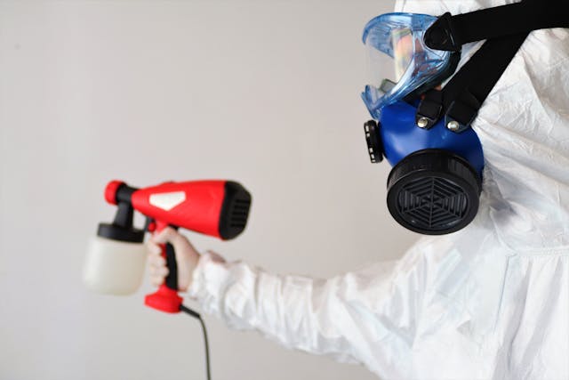 pexels-roger-brown-3435524-5499416 Safe and Effective Mold Remediation