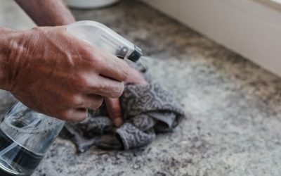 What Happens if Mold is Found During Home Inspection: Next Steps and Solutions